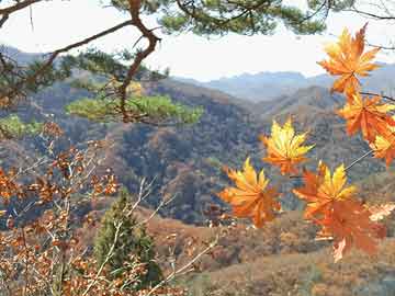 国内权威汽车评测机构（最具权威的汽车评测机构）